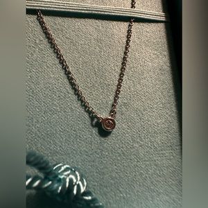 Tiffany & Co. Elsa Peretti Diamonds by the yard silver .925 necklace